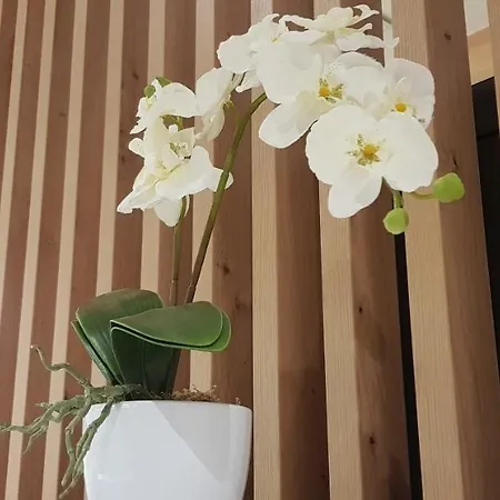 Apartmán Appprusnik